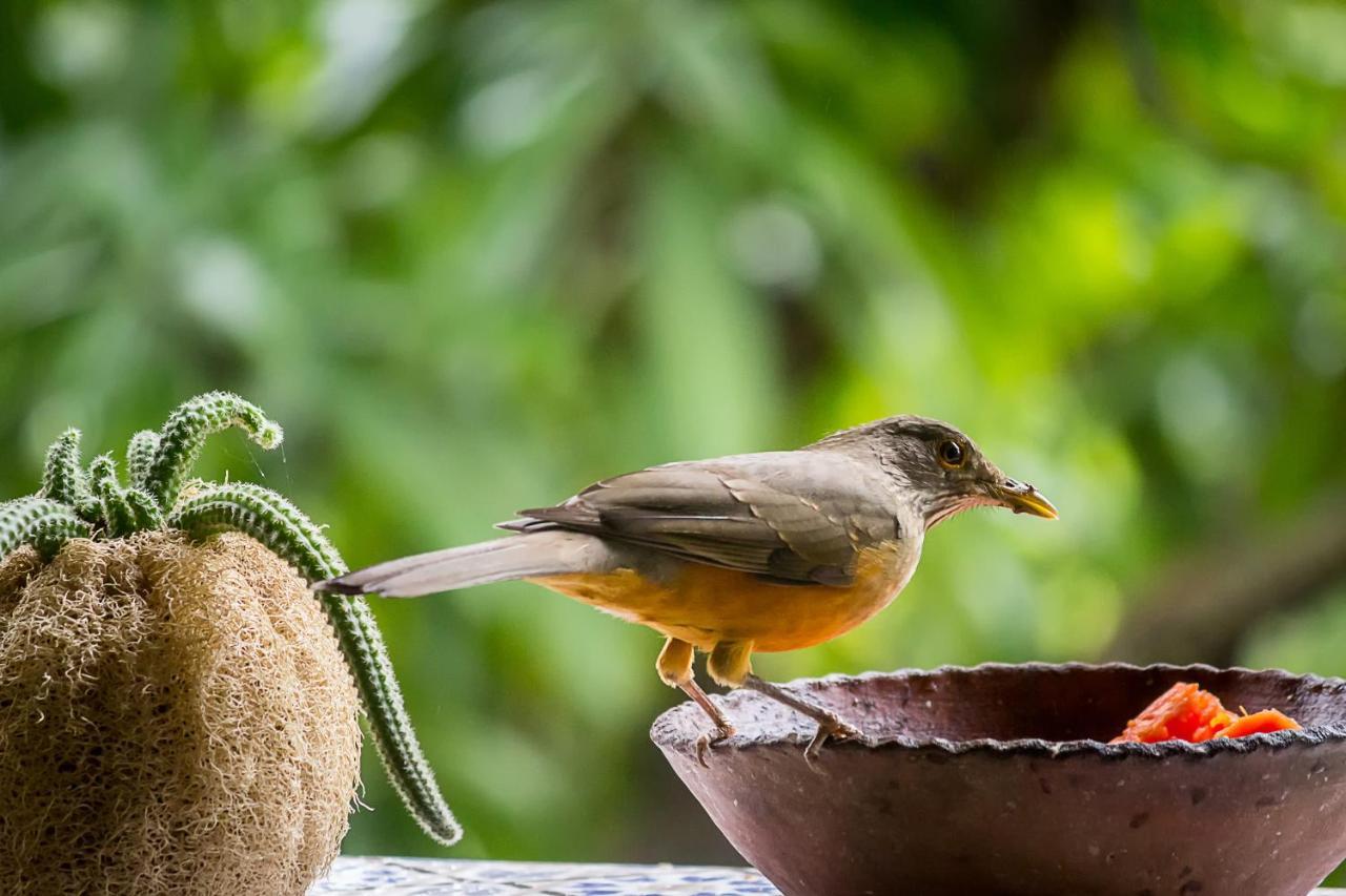 Pousada Tatu Do Bem レンソイス エクステリア 写真